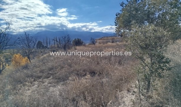 Reventa - Land -
Lucar