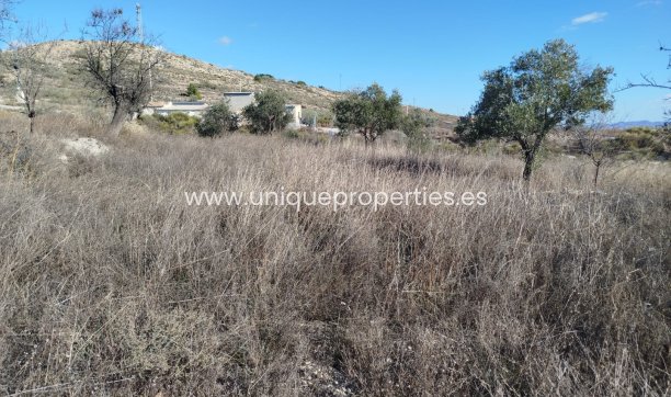 Reventa - Land -
Lucar