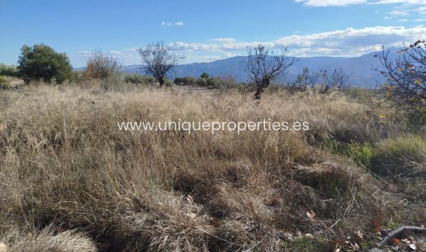 Reventa - Land -
Lucar