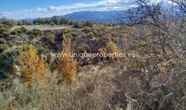 Reventa - Land -
Lucar