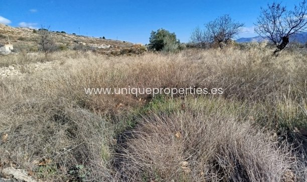 Reventa - Land -
Lucar