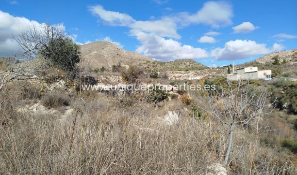 Reventa - Land -
Lucar