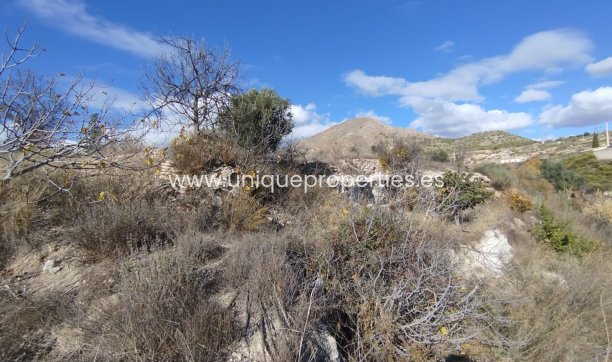 Reventa - Land -
Lucar