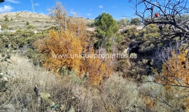 Reventa - Land -
Lucar