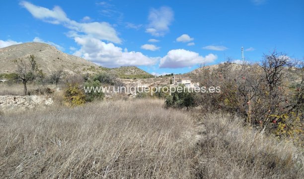 Reventa - Land -
Lucar