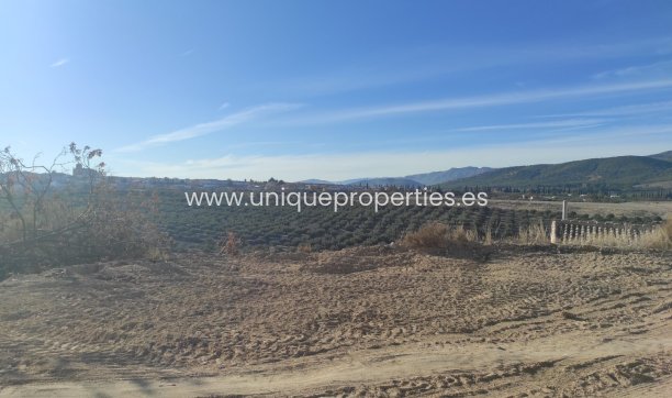 Herverkoop - Cave House -
Huescar