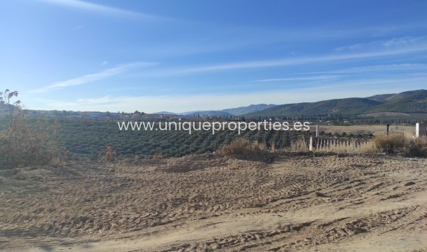 Herverkoop - Cave House -
Huescar