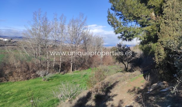 Reventa - Cortijo -
Caniles