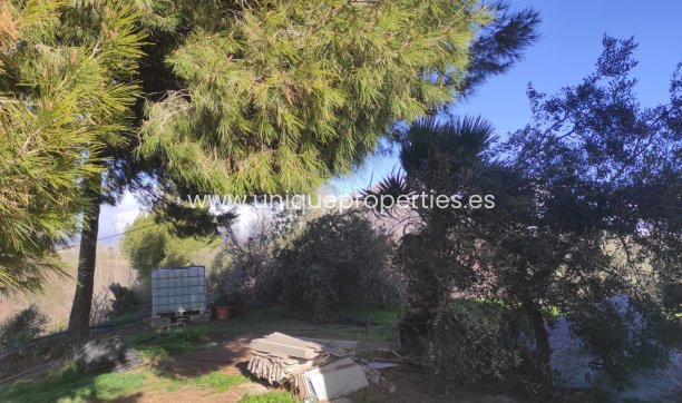 Reventa - Cortijo -
Caniles