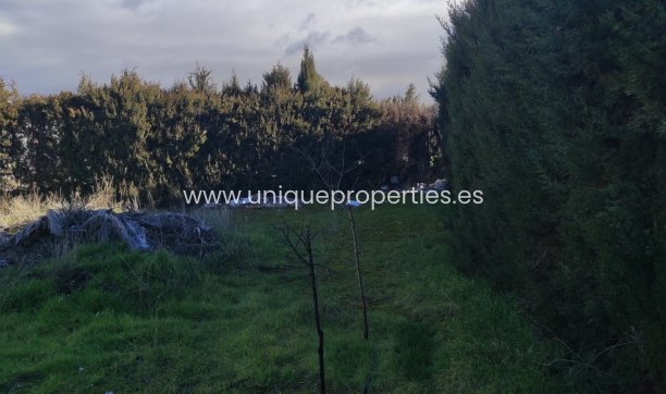 Reventa - Cortijo -
Caniles