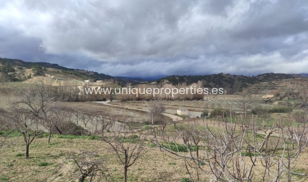 Herverkoop - Village House -
Cortes de Baza