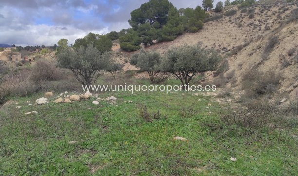 Herverkoop - Village House -
Cortes de Baza