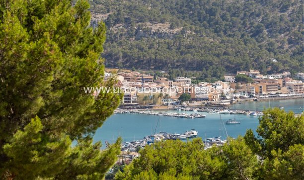 Resale - Villa -
Port d'Andratx - Andratx