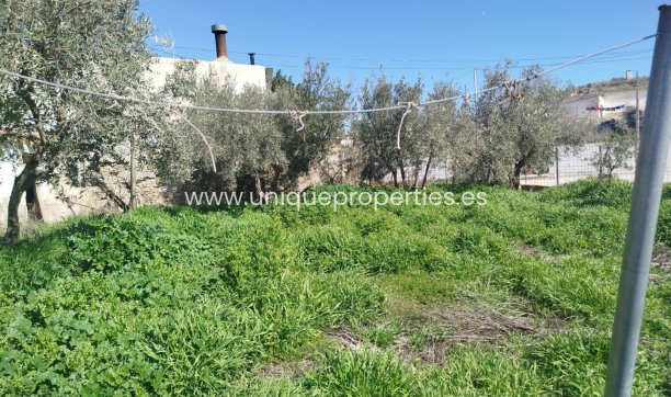 Resale - Village House -
Cullar de Baza