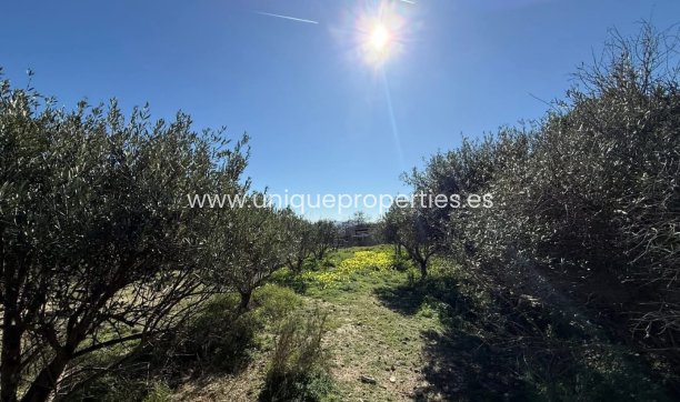 Revente - Cortijo -
Albox