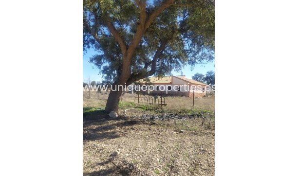 Resale - Cortijo -
Guadix