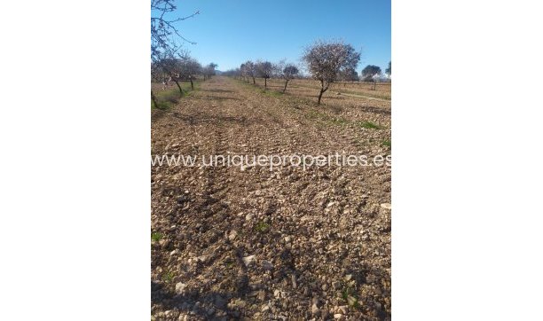 Resale - Cortijo -
Guadix