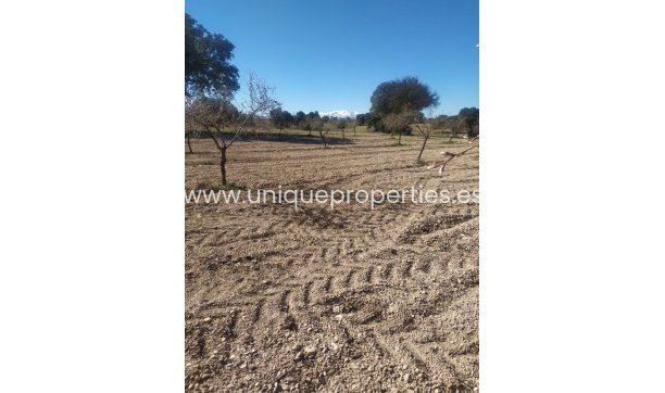 Resale - Cortijo -
Guadix