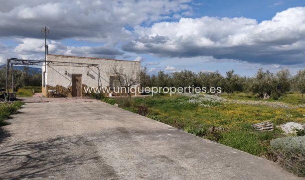 Reventa - Cortijo -
Baza