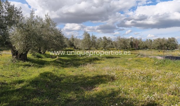 Reventa - Cortijo -
Baza