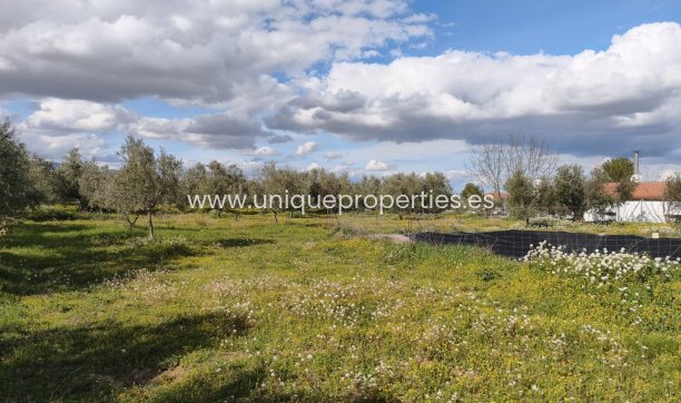 Reventa - Cortijo -
Baza