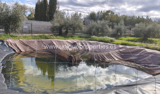 Reventa - Cortijo -
Baza