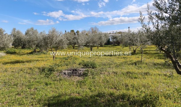 Reventa - Cortijo -
Baza