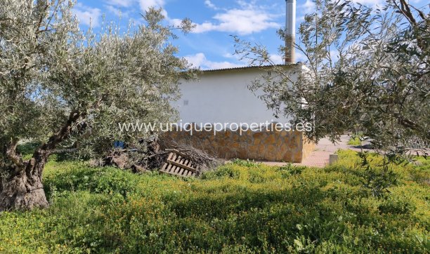 Reventa - Cortijo -
Baza