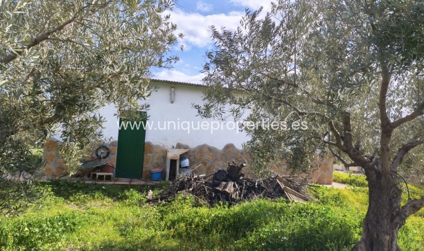 Reventa - Cortijo -
Baza