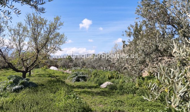 Herverkoop - Country House -
Baza