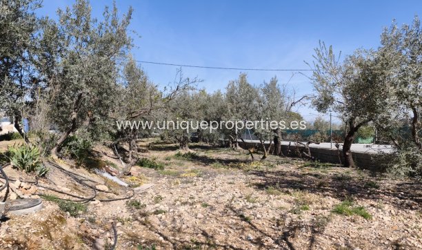 Herverkoop - Country House -
Baza