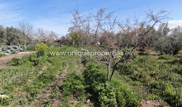 Herverkoop - Country House -
Baza