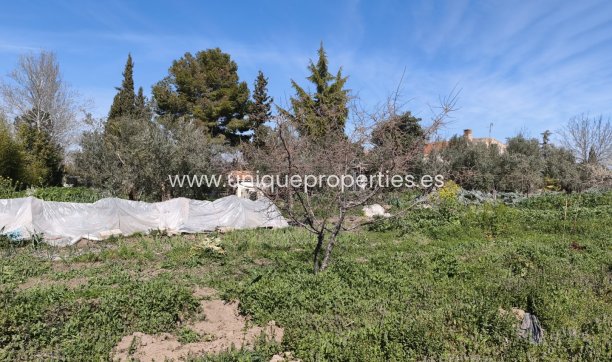 Herverkoop - Country House -
Baza