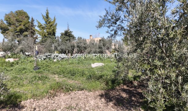 Herverkoop - Country House -
Baza