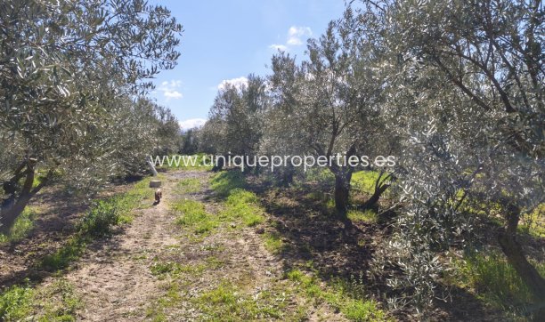 Herverkoop - Country House -
Baza