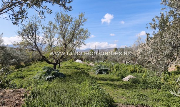 Herverkoop - Country House -
Baza