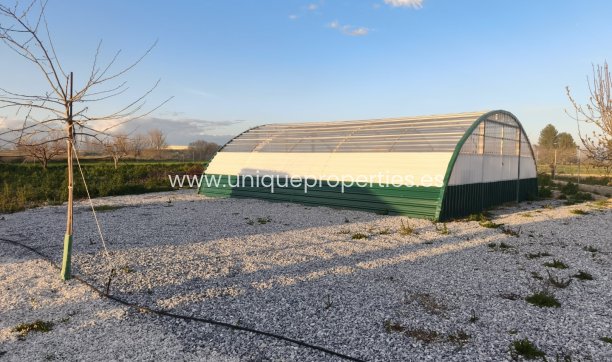 Revente - Cortijo -
Baza