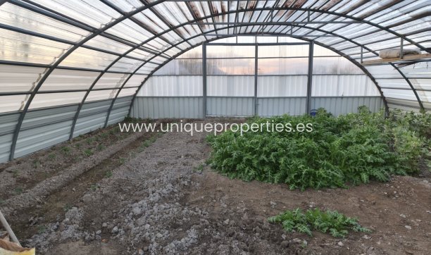 Revente - Cortijo -
Baza