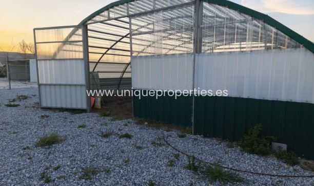 Revente - Cortijo -
Baza