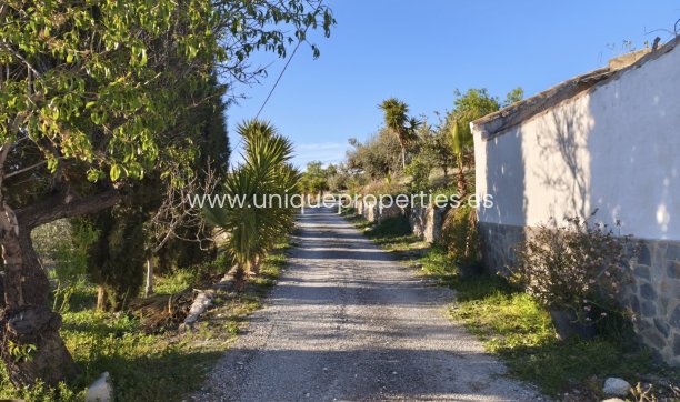 Reventa - Cortijo -
Somontin