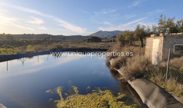 Reventa - Cortijo -
Somontin