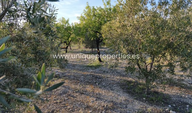 Reventa - Cortijo -
Somontin