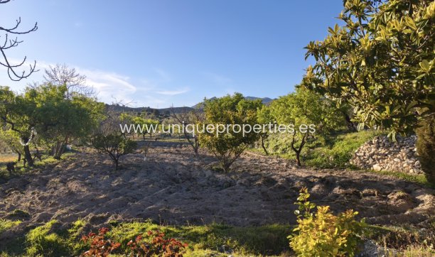 Reventa - Cortijo -
Somontin