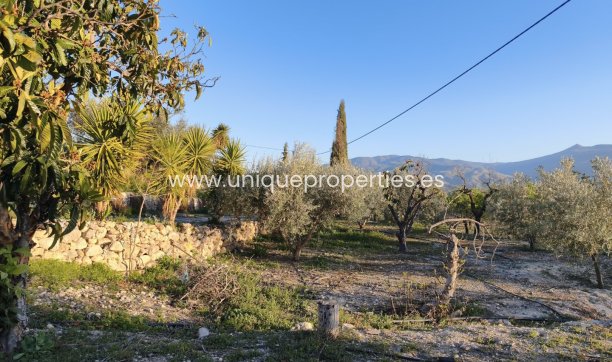 Reventa - Cortijo -
Somontin