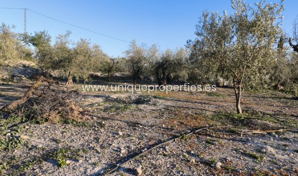 Reventa - Cortijo -
Somontin