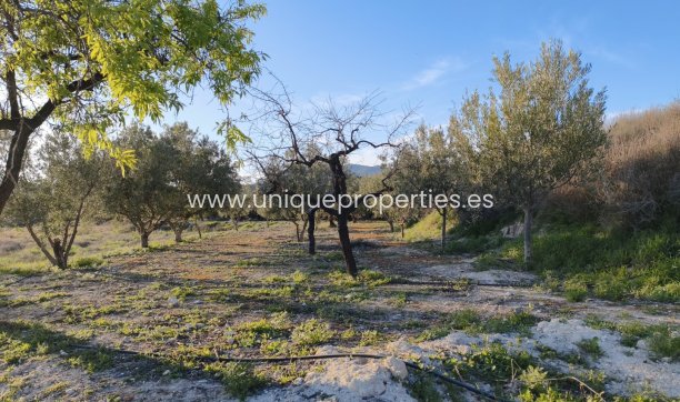 Reventa - Cortijo -
Somontin