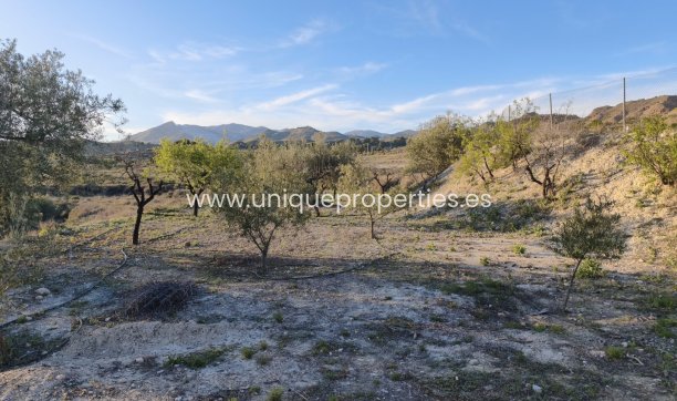 Reventa - Cortijo -
Somontin