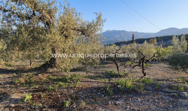 Reventa - Cortijo -
Somontin