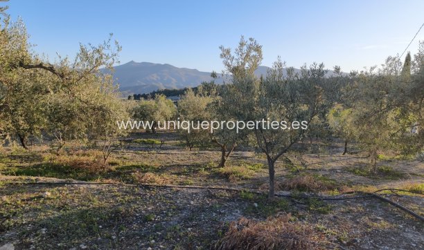 Reventa - Cortijo -
Somontin