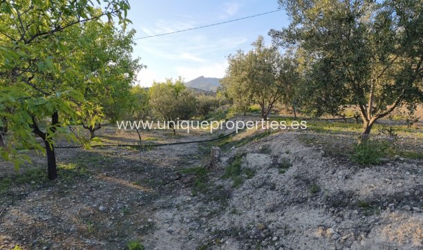 Reventa - Cortijo -
Somontin